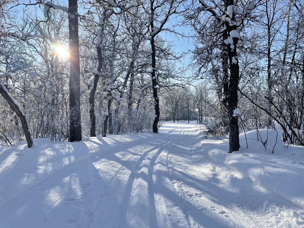 The Sandilands Ski Club has a new President